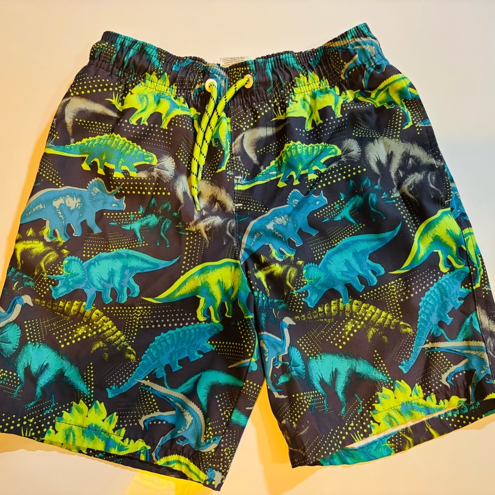 Dinosaur Print Swim Shorts